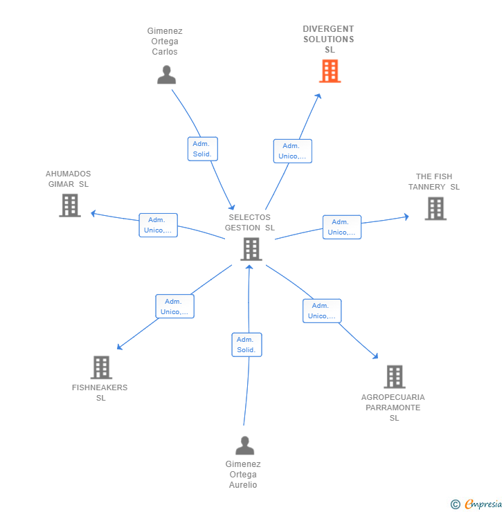 Vinculaciones societarias de DIVERGENT SOLUTIONS SL