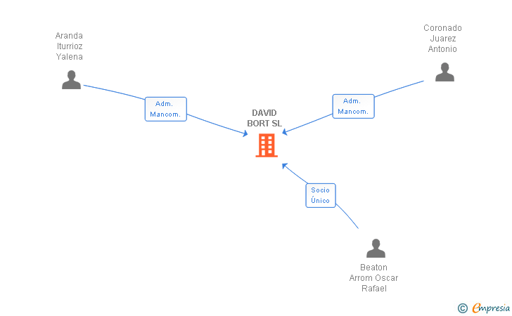 Vinculaciones societarias de DAVID BORT SL