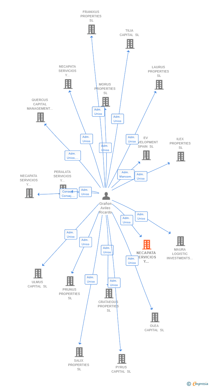 Vinculaciones societarias de NECAPATA SERVICIOS Y GESTIONES 2 SL
