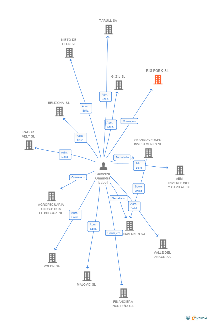 Vinculaciones societarias de BIG FORK SL