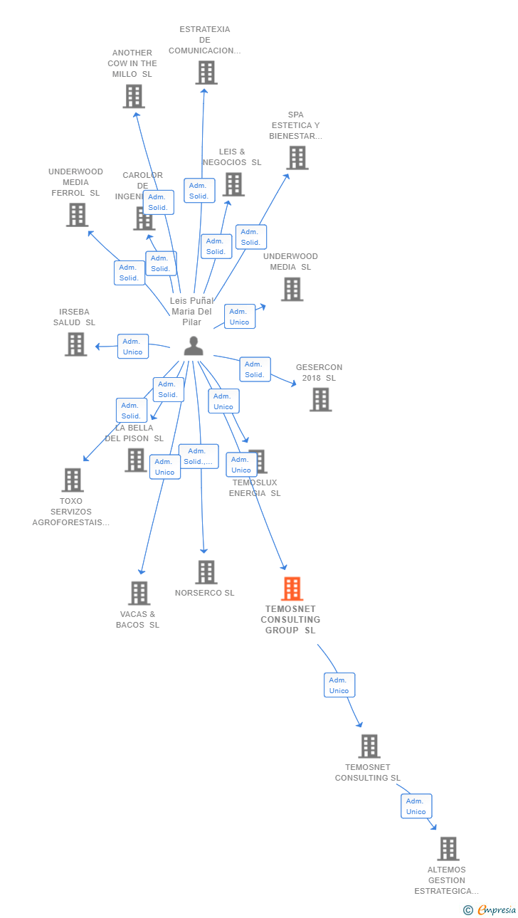 Vinculaciones societarias de TEMOSNET CONSULTING GROUP SL