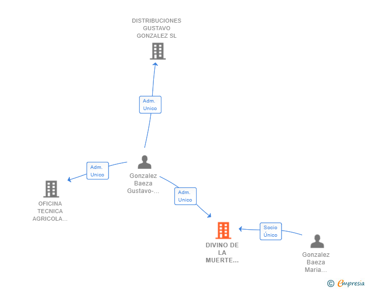 Vinculaciones societarias de DIVINO DE LA MUERTE GLOBAL SALES SL