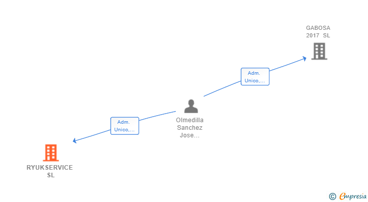 Vinculaciones societarias de RYUKSERVICE SL