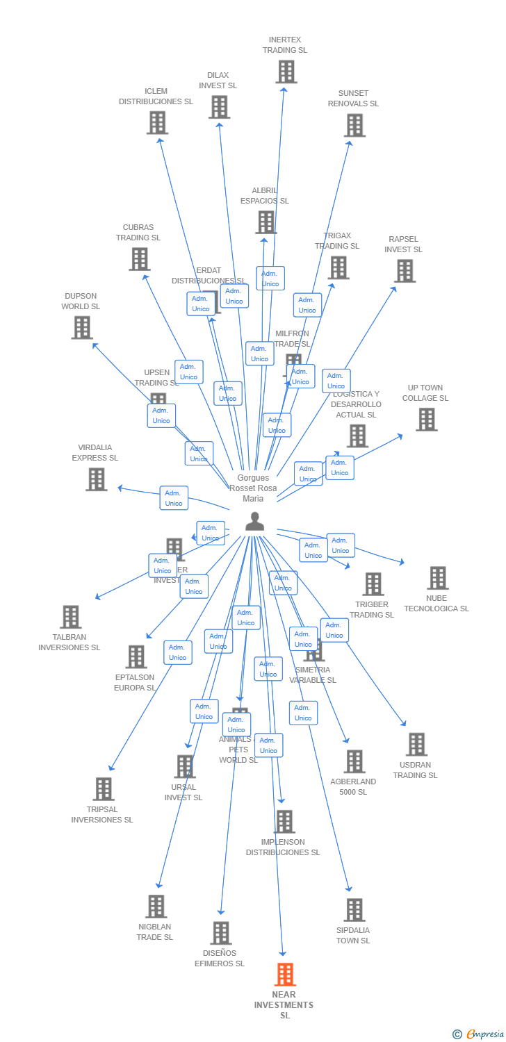 Vinculaciones societarias de NEAR INVESTMENTS SL