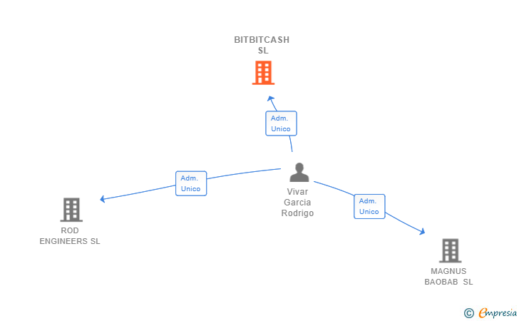 Vinculaciones societarias de BITBITCASH SL