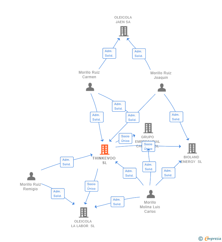 Vinculaciones societarias de THINKEVOO SL