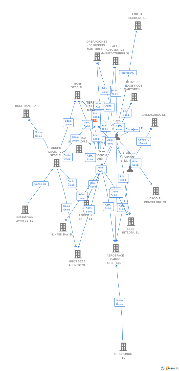 Vinculaciones societarias de TERRAM CAELUM MARE LOGISTICS SL