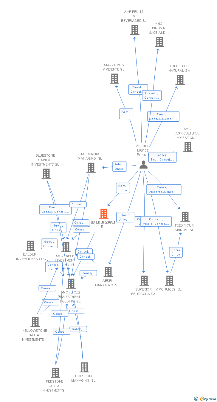 Vinculaciones societarias de BALDURZWEI SL