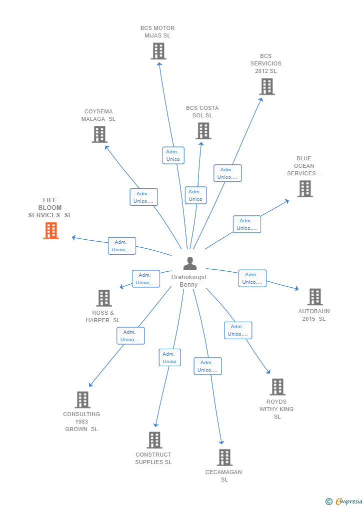 Vinculaciones societarias de LIFE BLOOM SERVICES SL