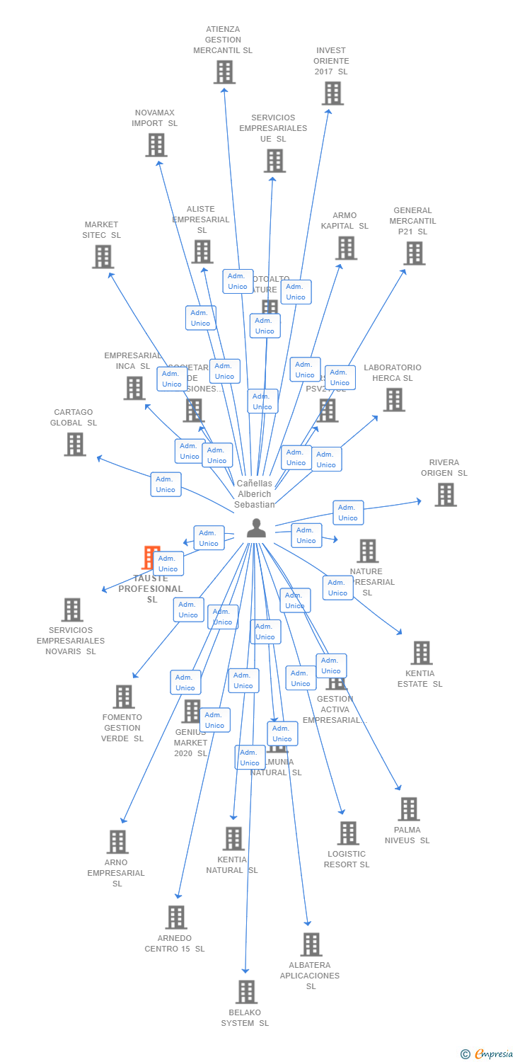 Vinculaciones societarias de TAUSTE PROFESIONAL SL