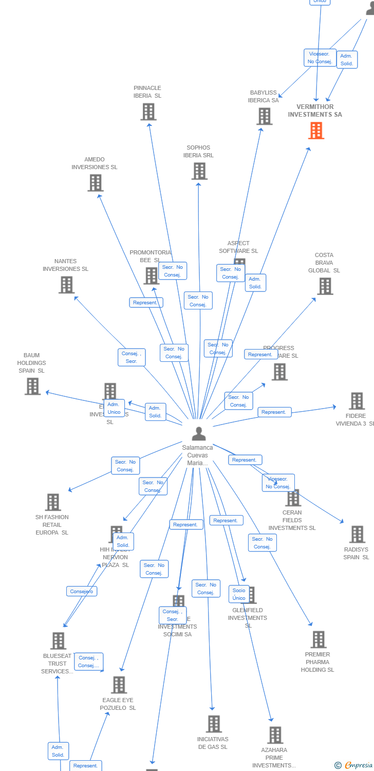 Vinculaciones societarias de VERMITHOR INVESTMENTS SA