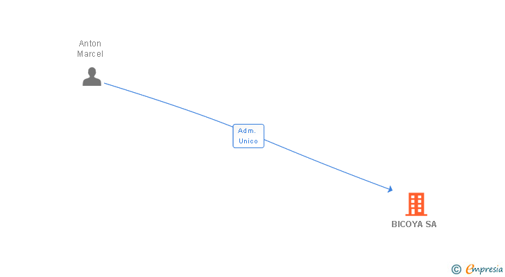 Vinculaciones societarias de BICOYA SA