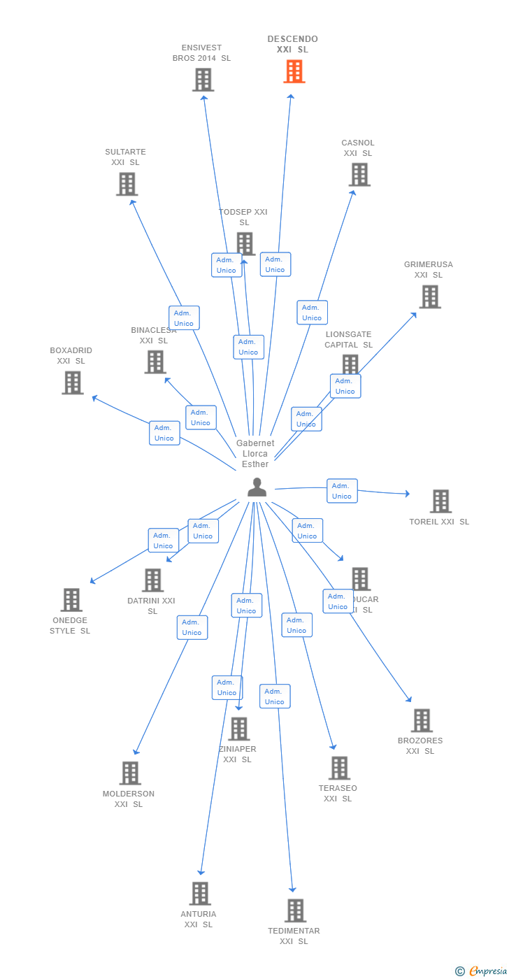 Vinculaciones societarias de RELIF INVESTMENT SPAIN SL