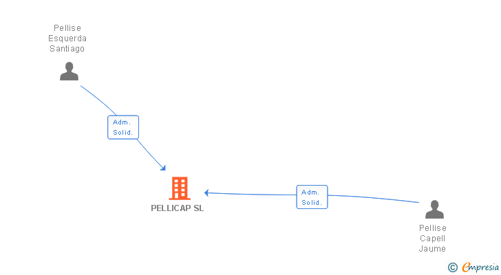 Vinculaciones societarias de PELLICAP SL