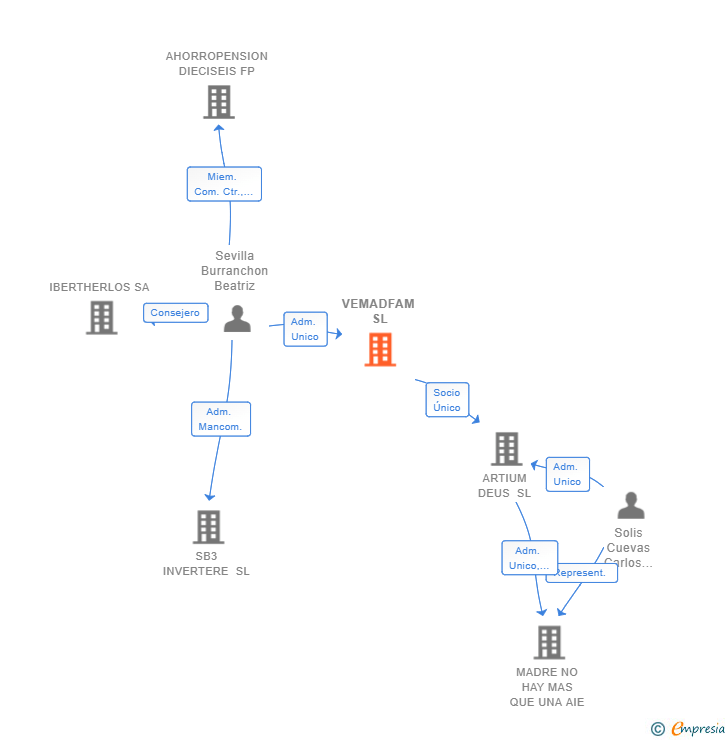 Vinculaciones societarias de VEMADFAM SL