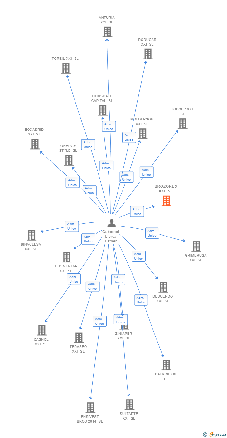 Vinculaciones societarias de BROZORES XXI SL