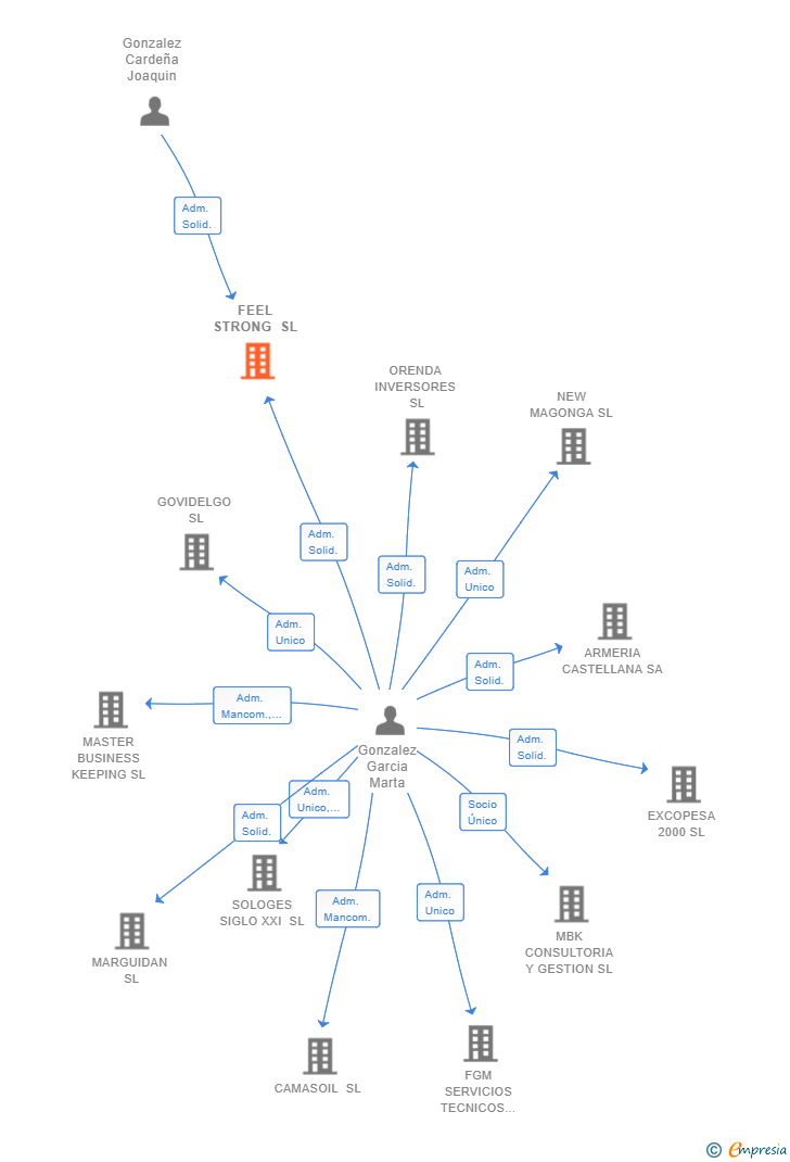 Vinculaciones societarias de FEEL STRONG SL