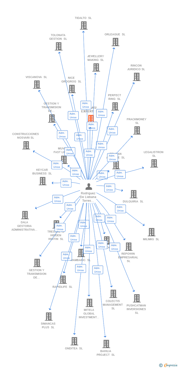 Vinculaciones societarias de HIKAKU EXPERT SL