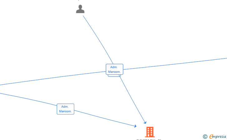 Vinculaciones societarias de CAVIPADU SL