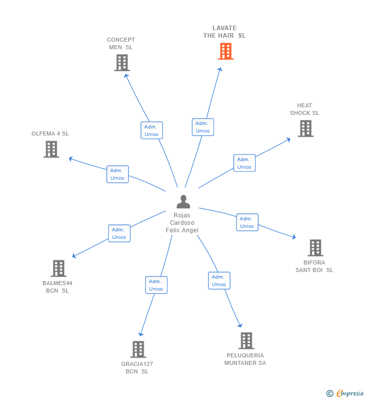 Vinculaciones societarias de LAVATE THE HAIR SL