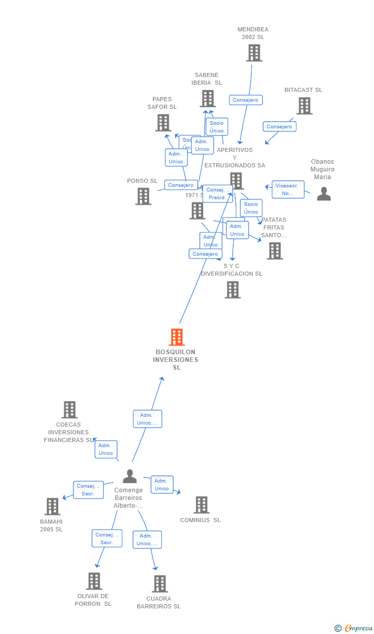 Vinculaciones societarias de BOSQUILON INVERSIONES SL