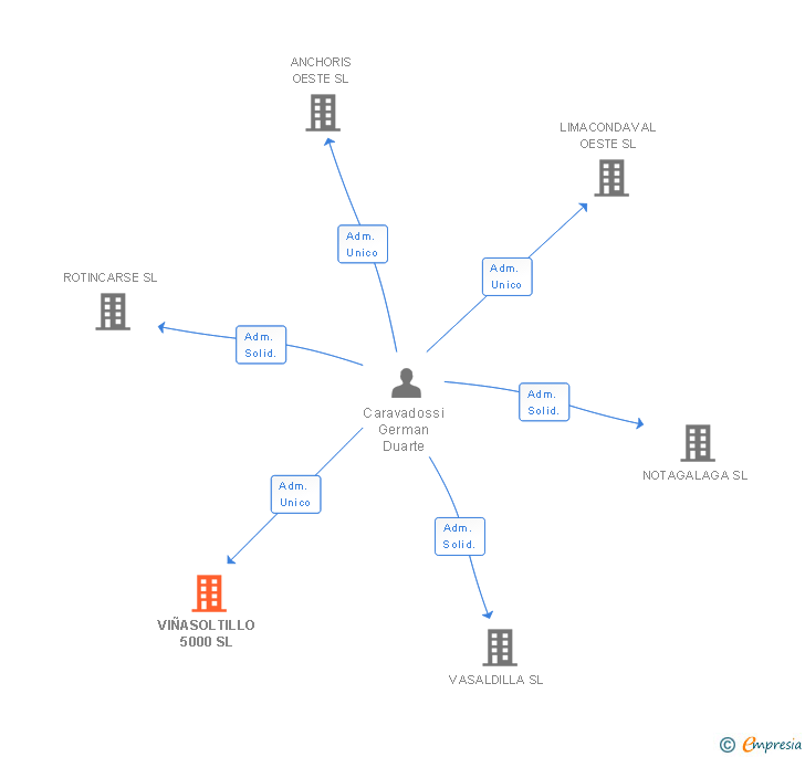 Vinculaciones societarias de VIÑASOLTILLO 5000 SL