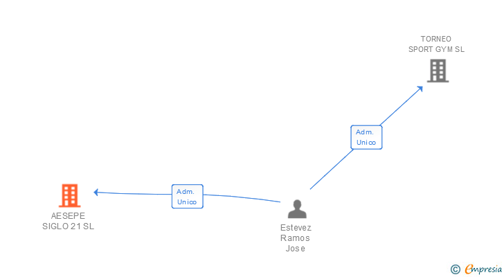 Vinculaciones societarias de AESEPE SIGLO 21 SL