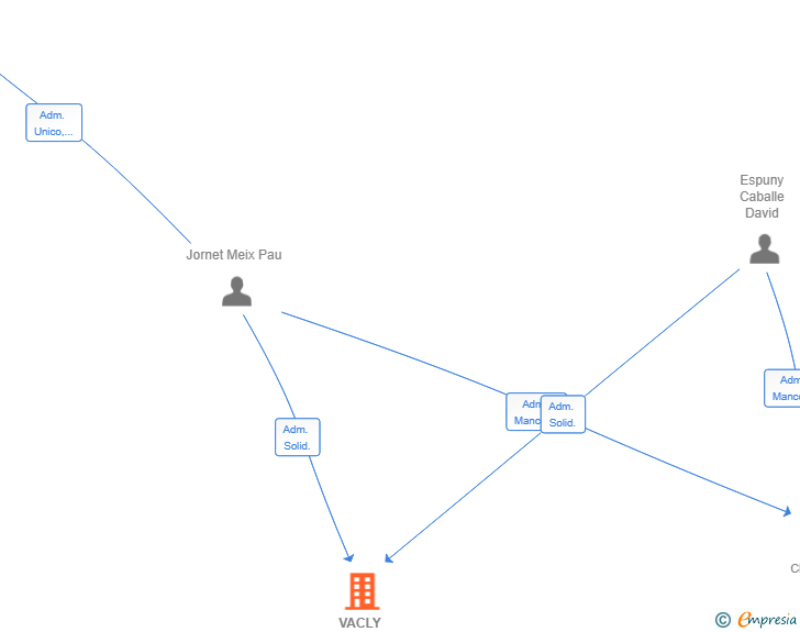 Vinculaciones societarias de VACLY SOLUTIONS SL