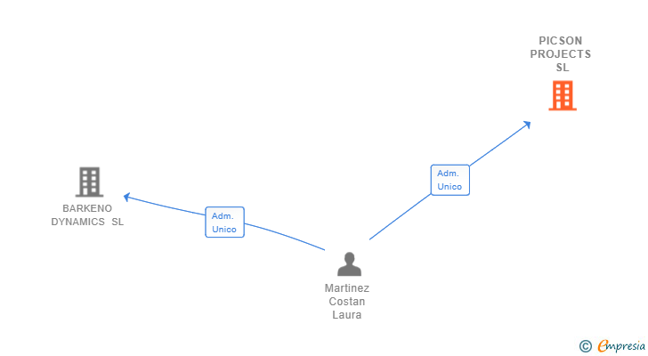 Vinculaciones societarias de PICSON PROJECTS SL