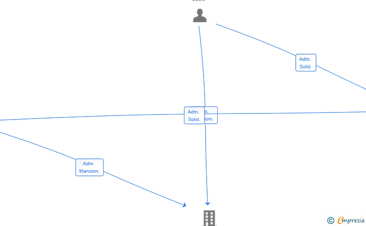 Vinculaciones societarias de LOKING SEVILLA SL