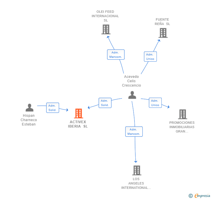 Vinculaciones societarias de ACTIVEX IBERIA SL