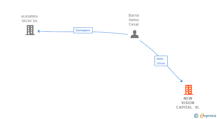 Vinculaciones societarias de NEW VISION CAPITAL SL