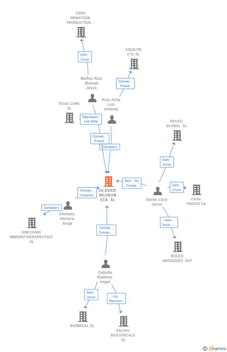 Vinculaciones societarias de OLAVIDE NEURON STX SL