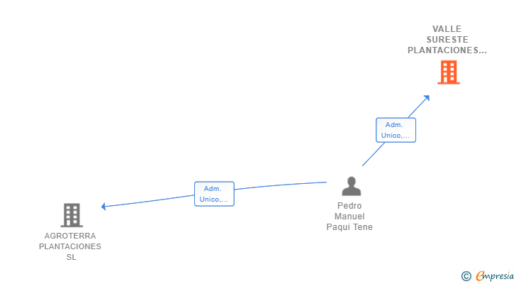 Vinculaciones societarias de VALLE SURESTE PLANTACIONES SL