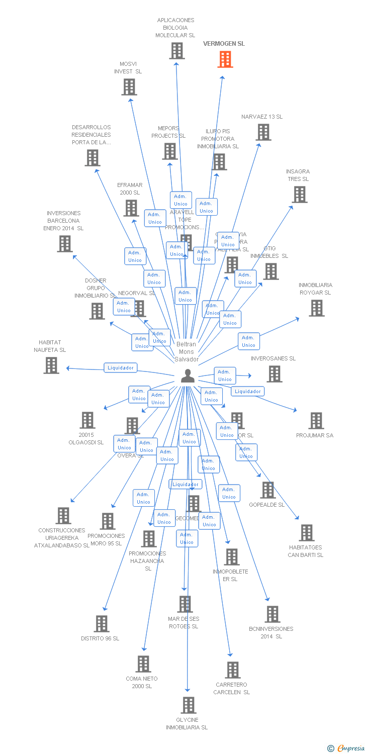Vinculaciones societarias de VERMOGEN SL