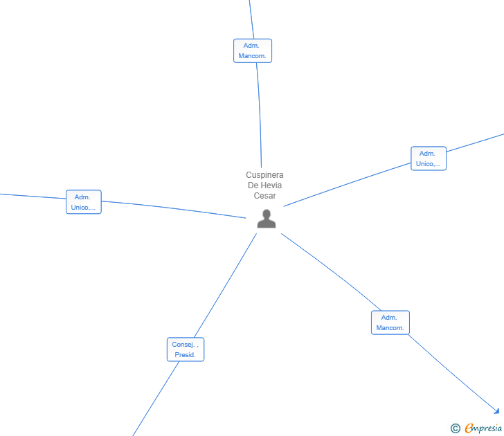 Vinculaciones societarias de CCH KINGDOM HOLDING SL
