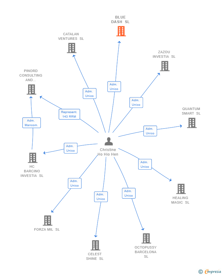 Vinculaciones societarias de BLUE DASH SL