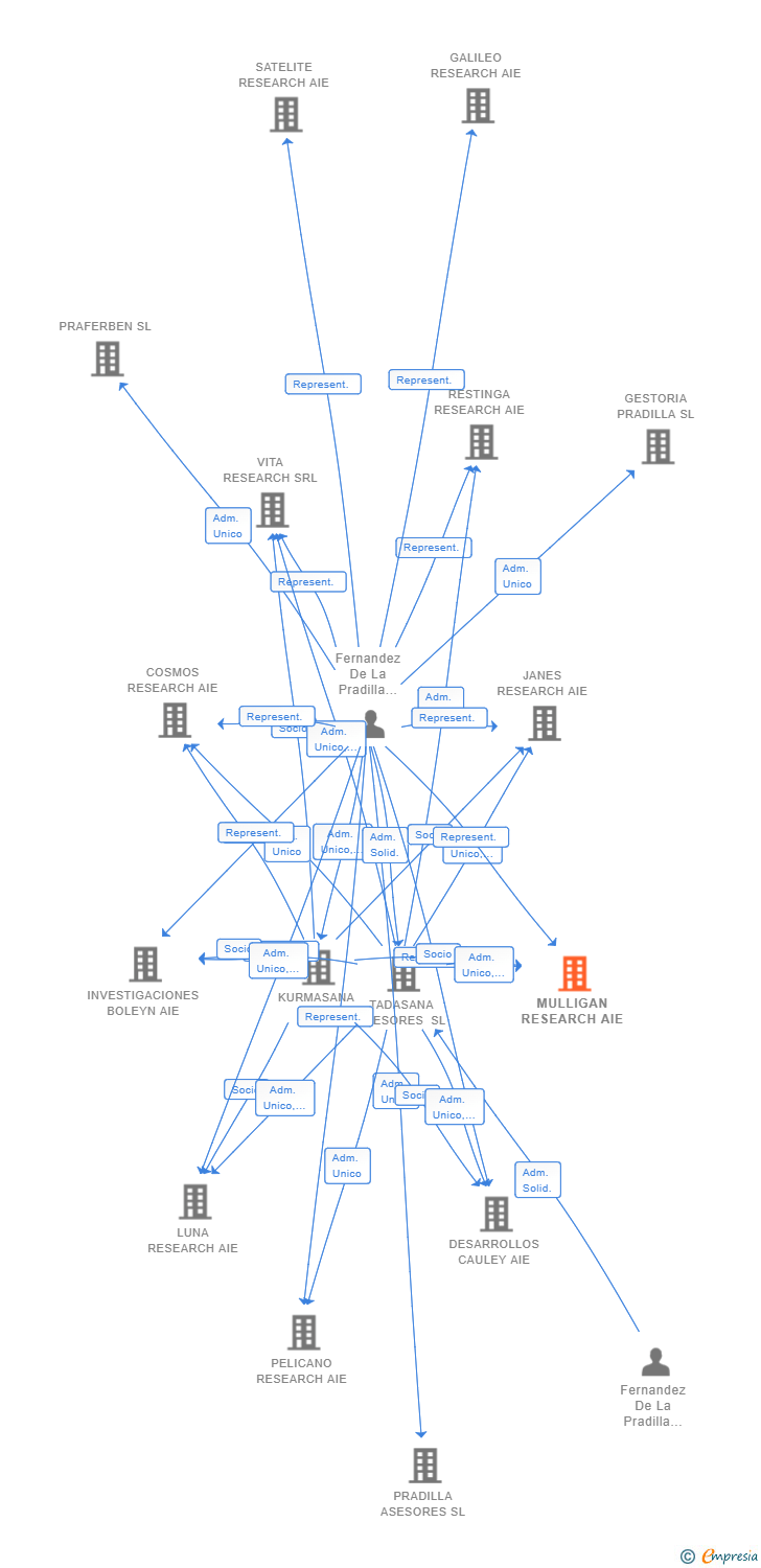 Vinculaciones societarias de MULLIGAN RESEARCH AIE
