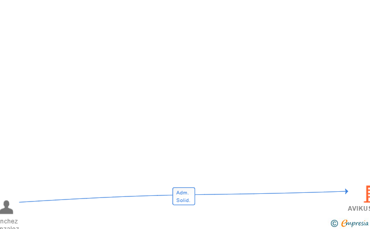 Vinculaciones societarias de AVIKUSMEDIA SL