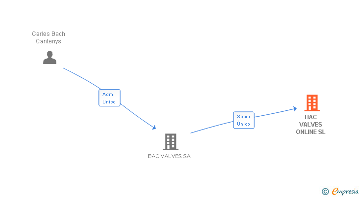 Vinculaciones societarias de BAC VALVES ONLINE SL