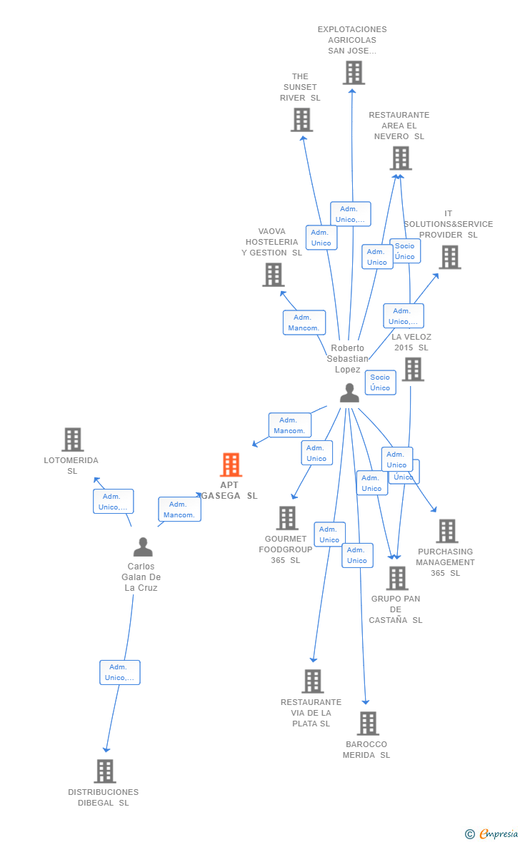 Vinculaciones societarias de APT GASEGA SL