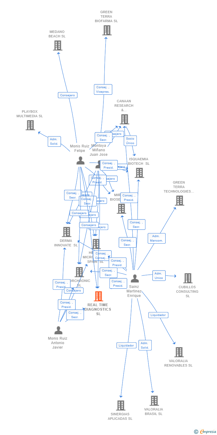 Vinculaciones societarias de REAL TIME DIAGNOSTICS SL