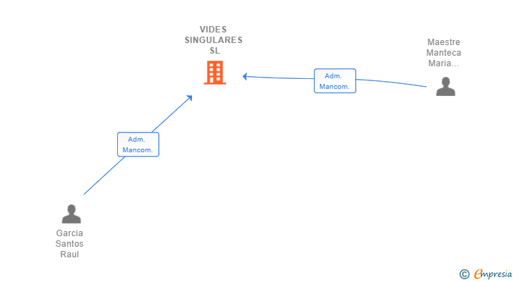 Vinculaciones societarias de VIDES SINGULARES SL