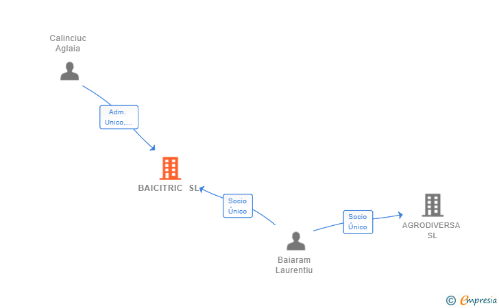 Vinculaciones societarias de BAICITRIC SL