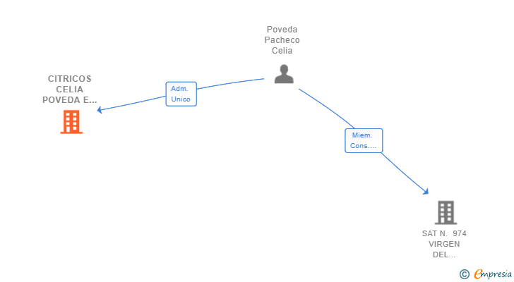 Vinculaciones societarias de CITRICOS CELIA POVEDA E HIJAS SL