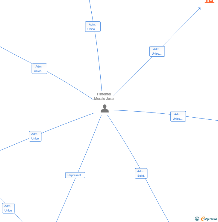 Vinculaciones societarias de JPM CORPORATION INTELLIGENCE & SECURITY SL