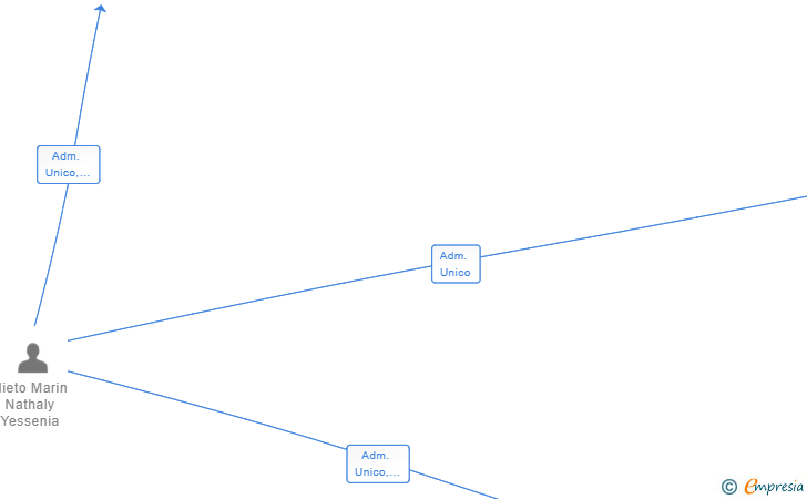 Vinculaciones societarias de CRISTINE LATIN SHOW MADRID SL