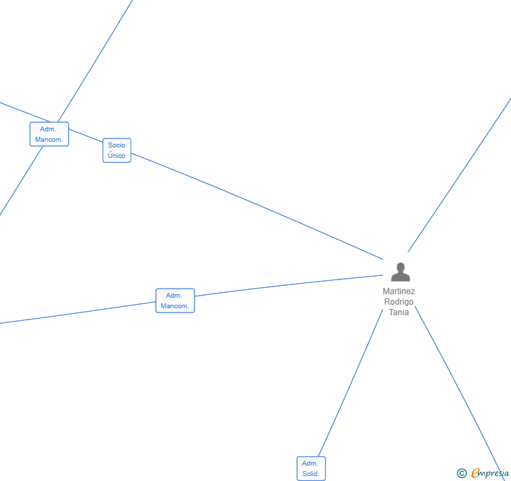 Vinculaciones societarias de TECHCOMPLIANCE XPERIENCE SOLUTIONS SL