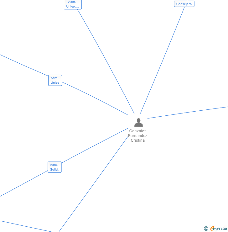 Vinculaciones societarias de VERTEX NOW SL