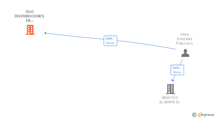 Vinculaciones societarias de OGO DISTRIBUCIONES EN EXCLUSIVA SA